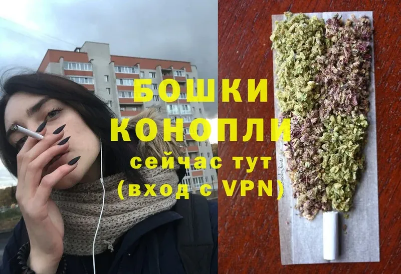 Бошки марихуана OG Kush  купить наркотик  Кисловодск 